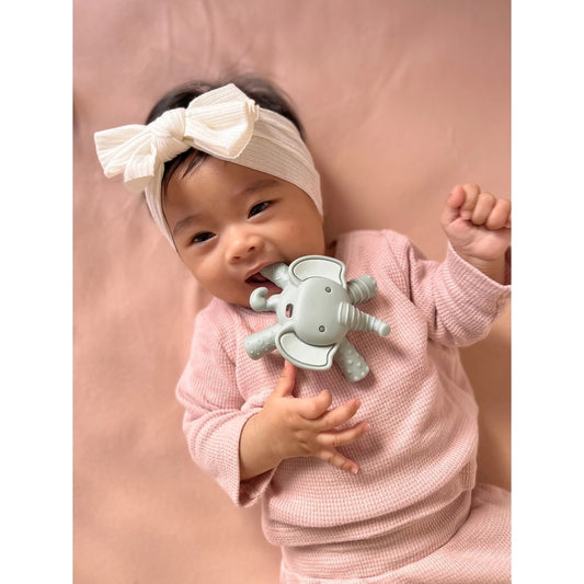 Ritzy Teether Baby Molar Teether