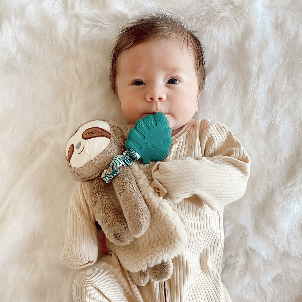 Itzy Lovey™ Plush with Silicone Teether Toy