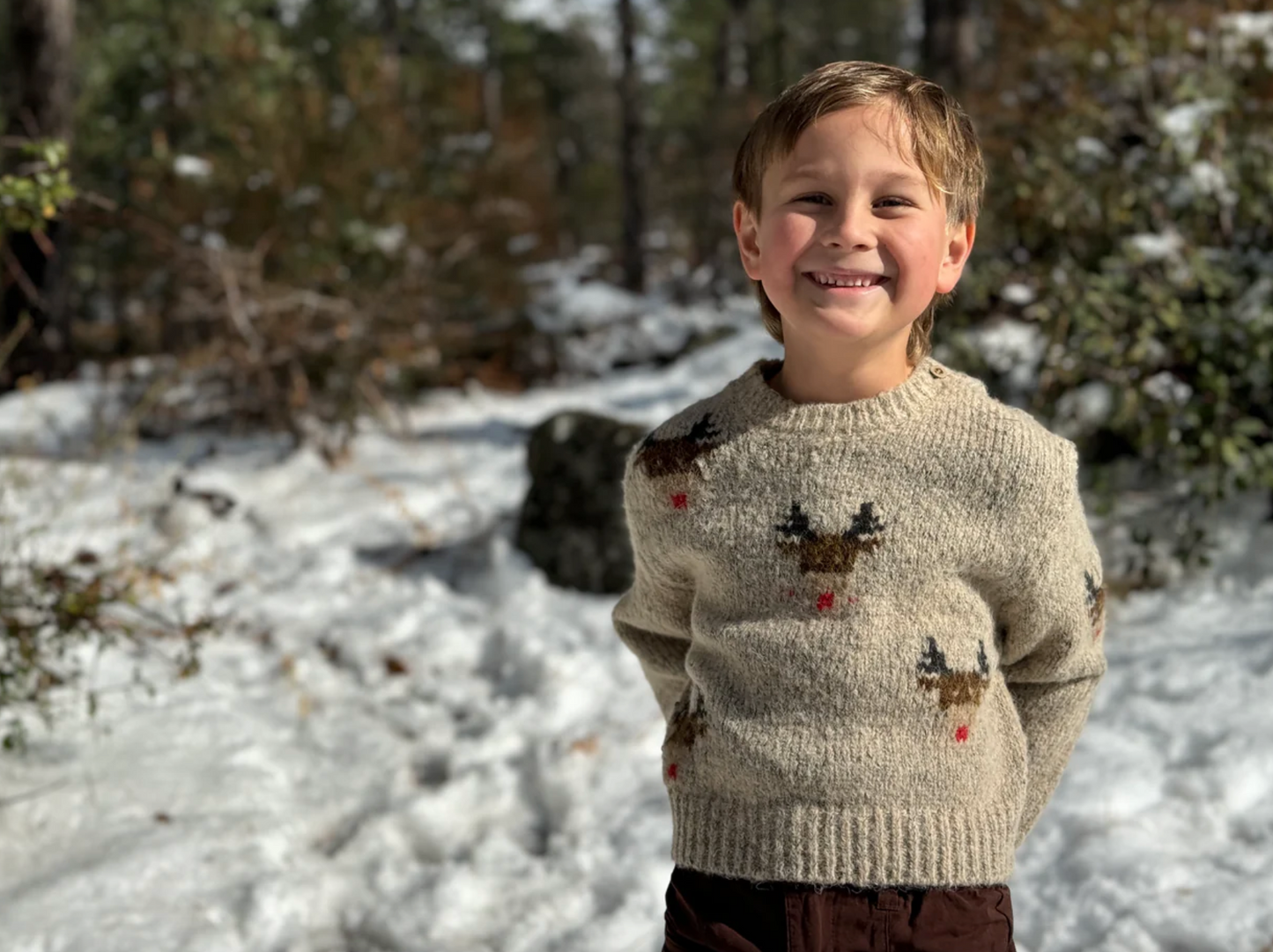 RUDY Beige reindeer Sweater