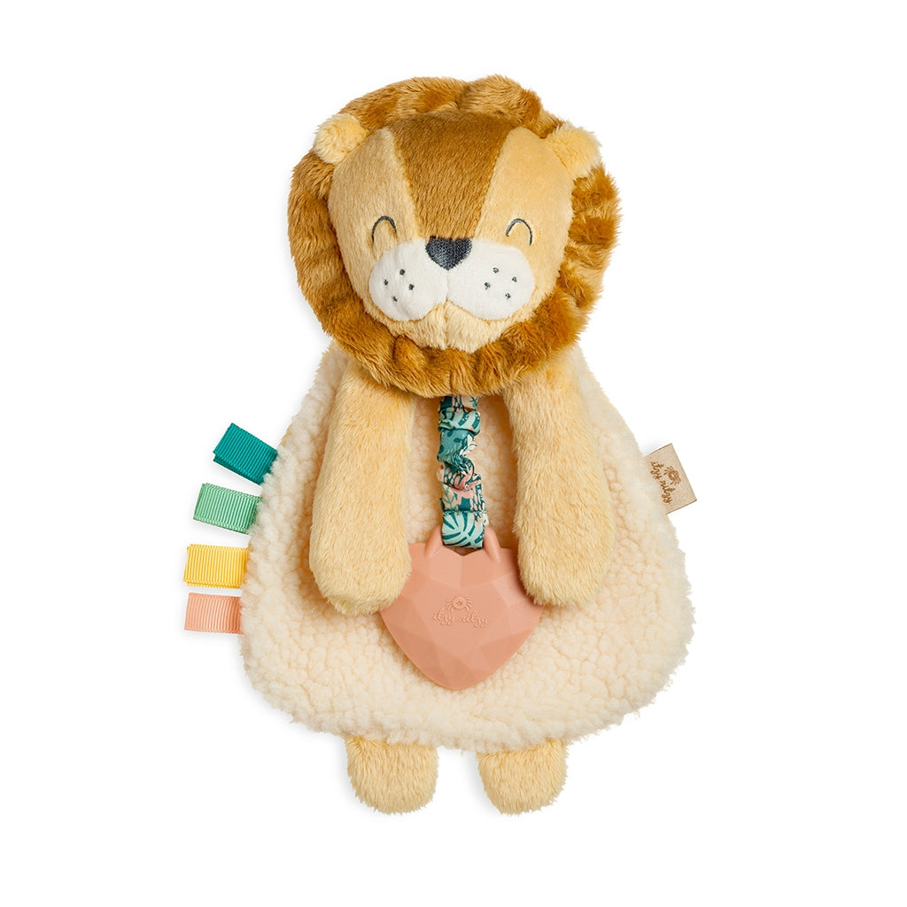 Itzy Lovey™ Plush with Silicone Teether Toy