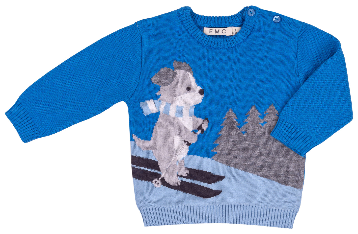 Skiing Dog Blue Sweater