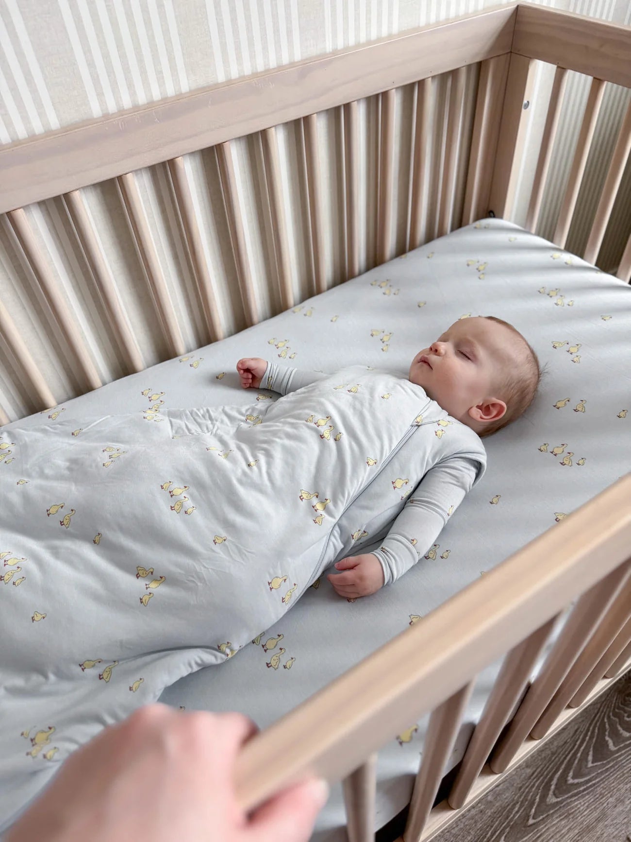 transitional swaddle sleep sack - friends
