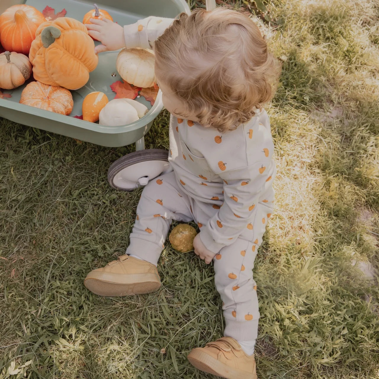 Little Pumpkin Outfit Set