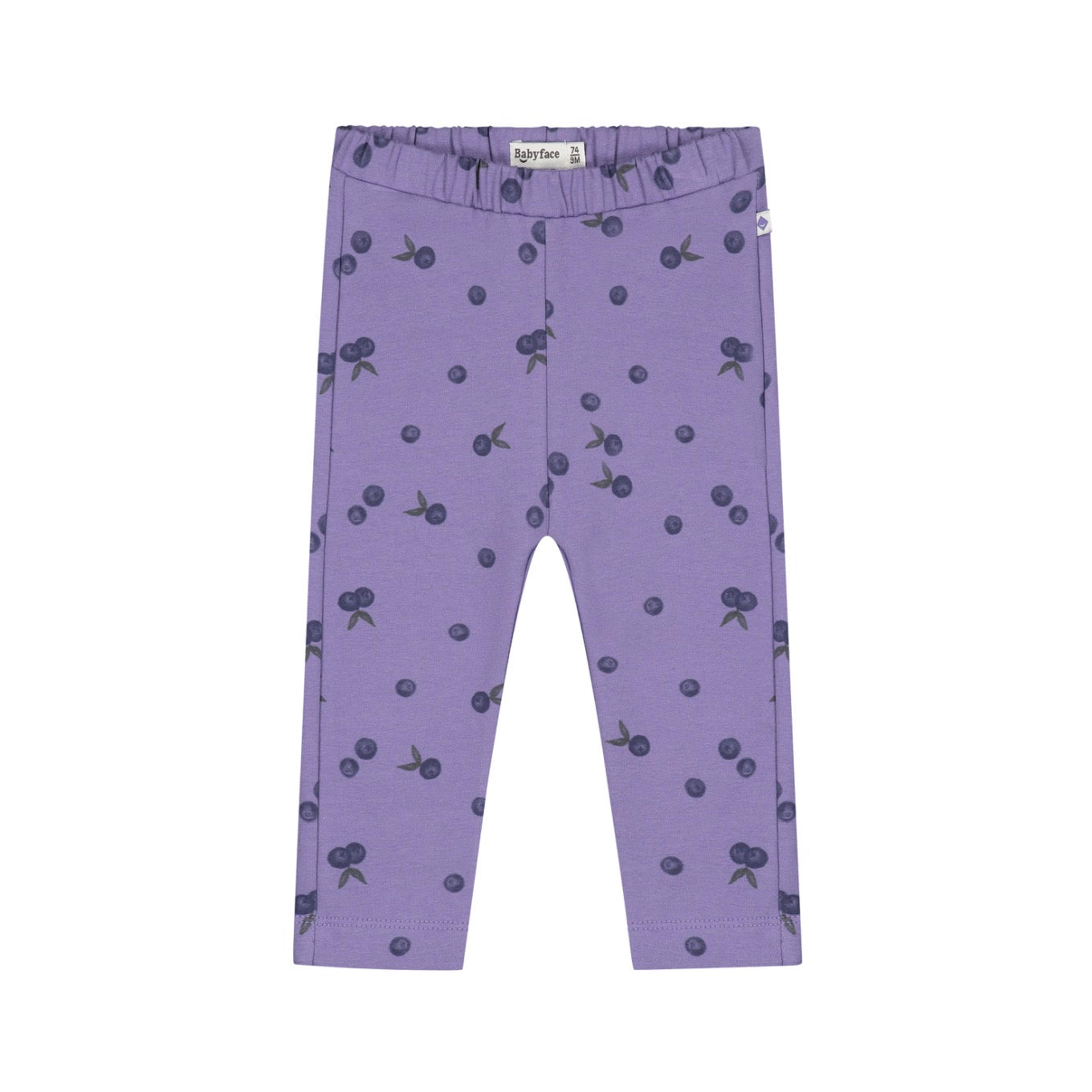 Purple Plum Sweatpant