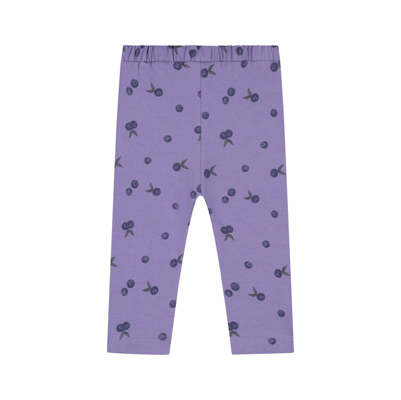 Purple Plum Sweatpant