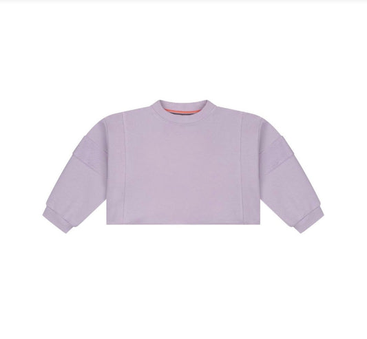 Purple Crop Sweatshirt