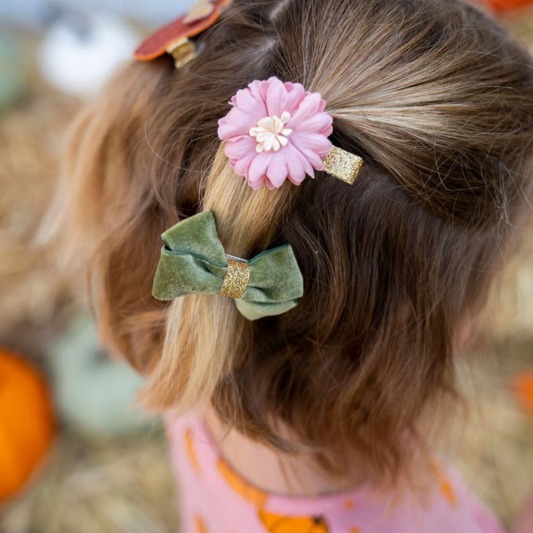 Pumpkin Clip Set