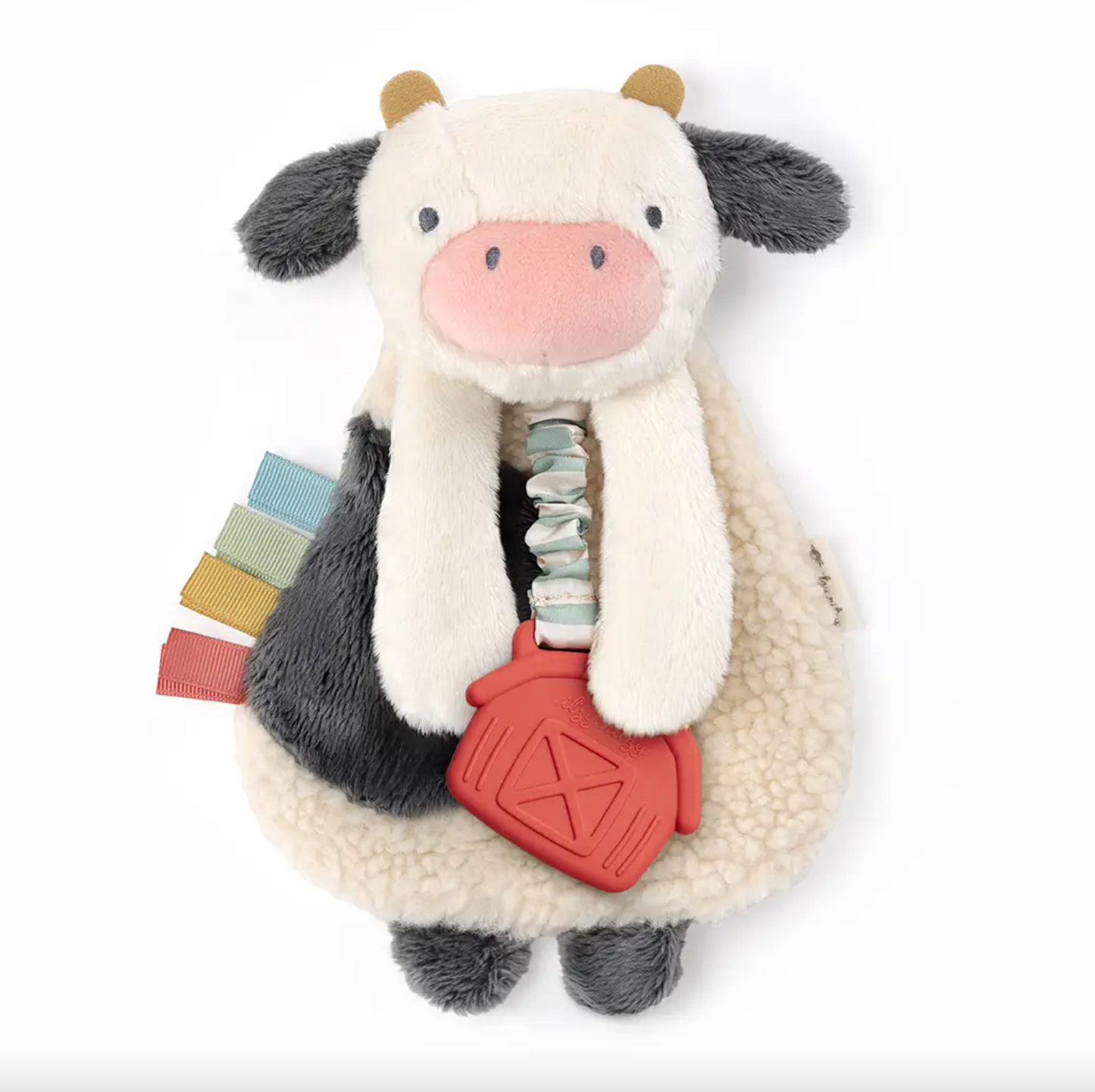 Itzy Lovey™ Plush with Silicone Teether Toy