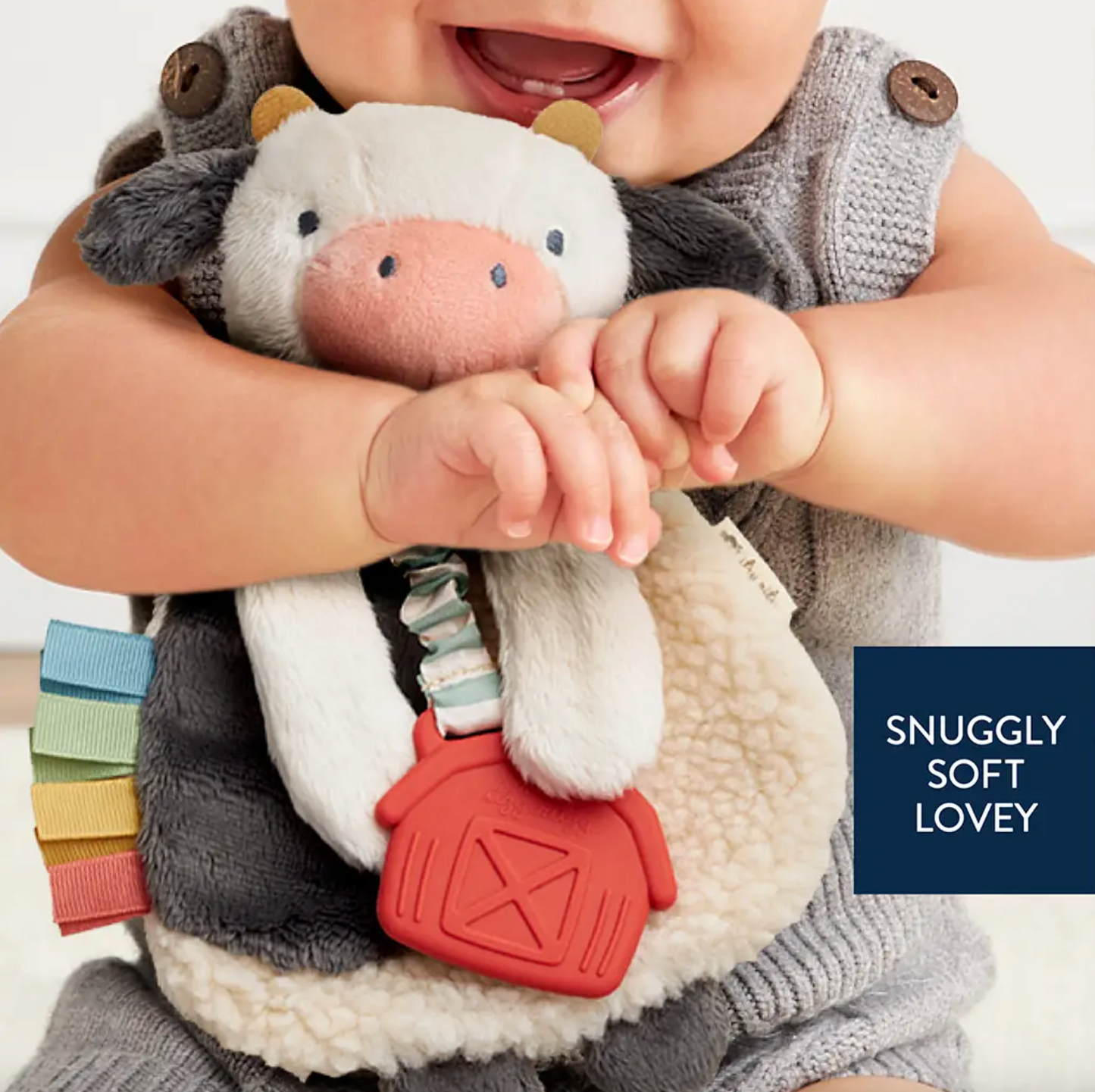 Itzy Lovey™ Plush with Silicone Teether Toy