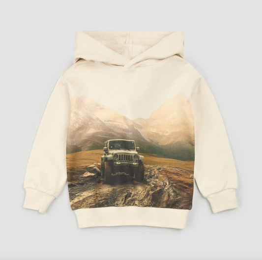 Trek + Trail Birch Hoodie