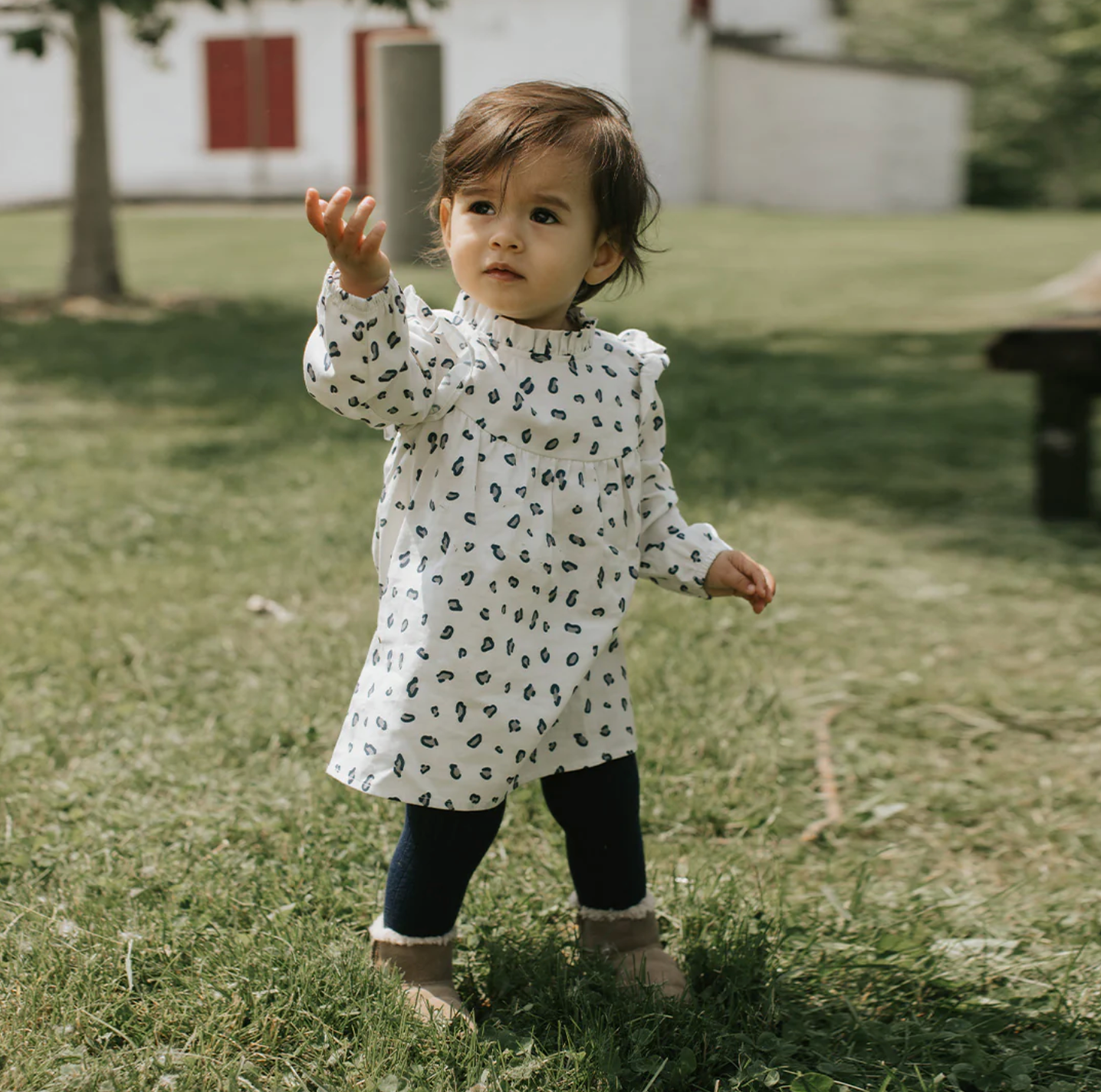 Snow Leopard Print on Brushed Twill Dress Set